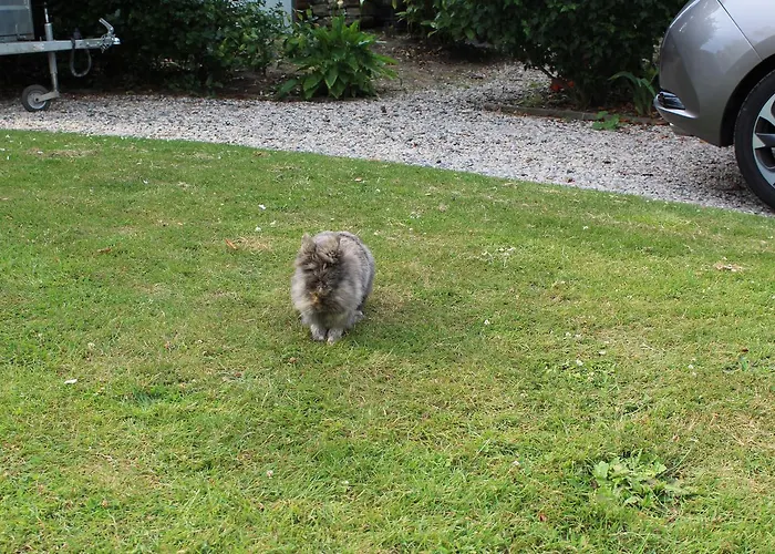 D'hotes La Gloriette 3* Ryes