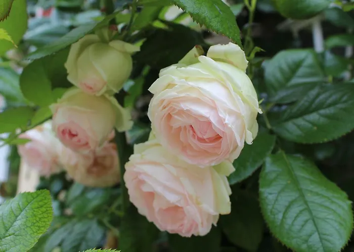 D'hotes La Gloriette 3*